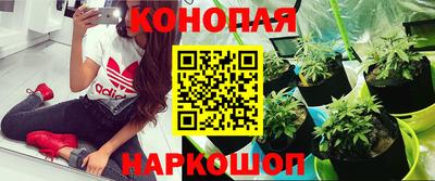 a pvp Татарск