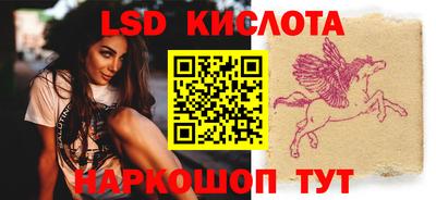 spice Тара