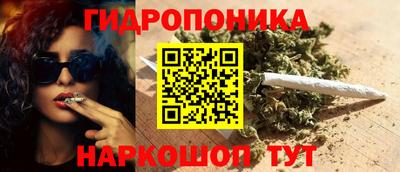 spice Тара