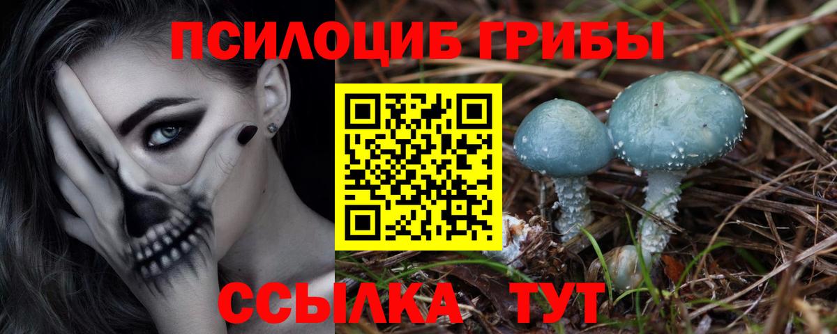 Псилоцибиновые грибы MAGIC MUSHROOMS Нижний Новгород