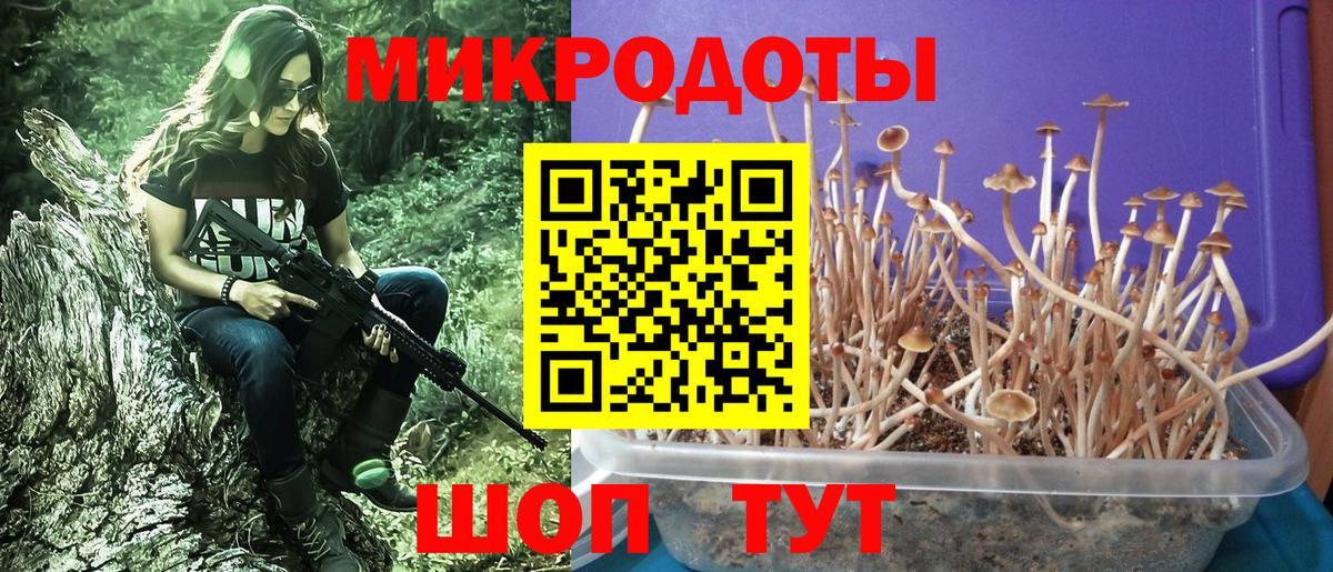 Нижний Новгород  Псилоцибиновые грибы Psilocybe  Вход с VPN  Галлюциногенные грибы Psilocybine cubensis 